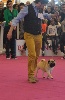  - PARIS DOG SHOW 2015